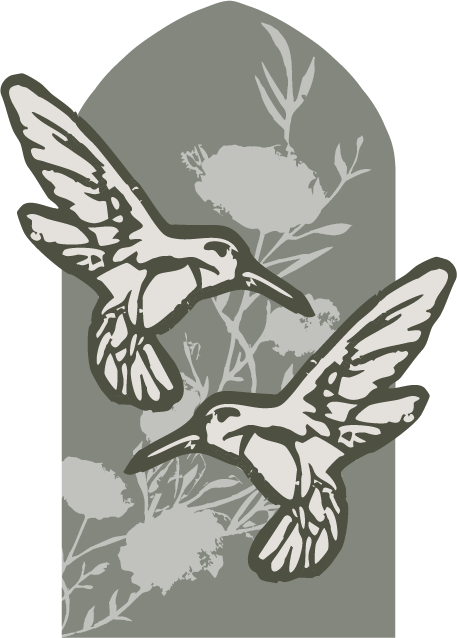 Hummingbirds illustration